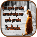 Indirectas de Desamor APK