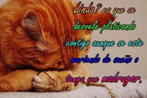 frases indirectas de amor ภาพหน้าจอ 2