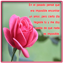 Ramos de Rosas con Poemas APK
