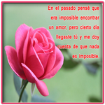 Ramos de Rosas con Poemas icon