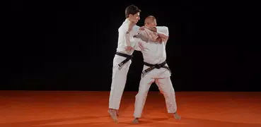 Judokai