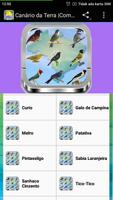 Cantos de Curió Brasileiros Co imagem de tela 2