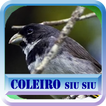 Canto do Coleiro Siu Siu