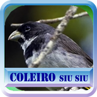 Canto do Coleiro Siu Siu biểu tượng