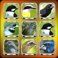 European Goldfinch Bird imagem de tela 3