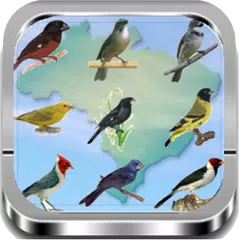 Cantos dos Pássaros |Completos APK download