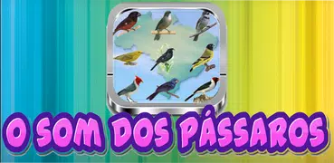 100+ Canto de Passaros Mais Bonitos