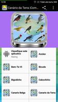 100+ Canto de Passaros Mais Bonitos imagem de tela 3