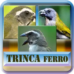 Todos em 1 |Canto Trinca Ferro APK 下載