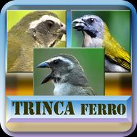 Todos em 1 |Canto Trinca Ferro الملصق