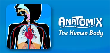 Human Anatomy - Body parts