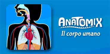 Anatomia - Il corpo umano