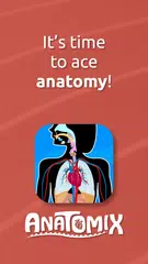 Human Anatomy - Body parts XAPK download