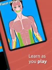 Human Anatomy - Body parts アプリダウンロード
