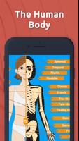 Human Anatomy - Body parts پوسٹر
