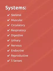 Human Anatomy - Body parts XAPK download