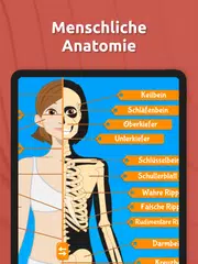 Anatomix: Anatomie lernen quiz XAPK Herunterladen