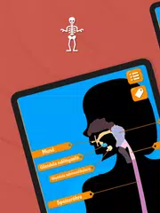 Anatomix: Anatomie lernen quiz XAPK Herunterladen