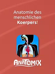 Anatomix: Anatomie lernen quiz XAPK Herunterladen