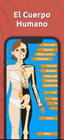 Atlas Anatomía: Cuerpo Humano Poster