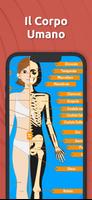 Poster Anatomia - Il corpo umano
