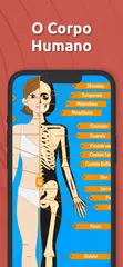 Baixar Anatomia - Atlas Corpo Humano XAPK