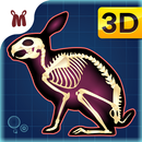 Marbel Anatomi Hewan SD 5 APK