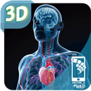 Mi Cuerpo Humano en 3D APK