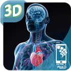 Mi Cuerpo Humano en 3D ไอคอน