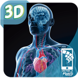 Mi Cuerpo Humano en 3D icône