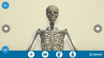 Mi Cuerpo Humano en 3D capture d'écran 1