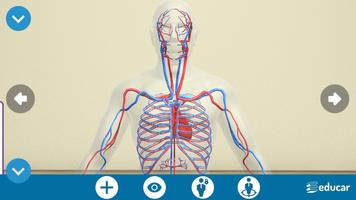 Mi Cuerpo Humano en 3D ภาพหน้าจอ 2