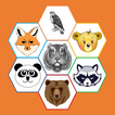 Animal World icon