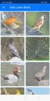 Learn Birds Name - Birds Picture screenshot 3