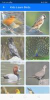 Learn Birds Name - Birds Picture スクリーンショット 3