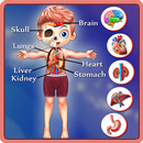 Kids Body Parts Learning APK