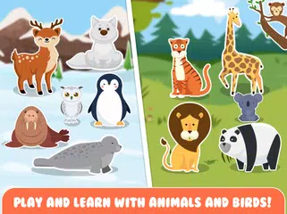 Baixar Sorting games for 3 year olds XAPK