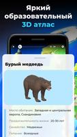 Глобус в 3D - Планета Земля постер