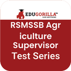 RSMSSB Agriculture Supervisor Mock Tests App icône