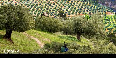 Caza torcaz y otros capture d'écran 2