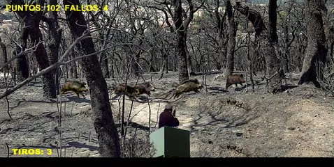 Batida jabali APK Herunterladen