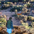 La Montera icon
