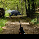 APK Cazando jabalís