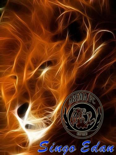 Gambar Hewan Puma Keren | Victoria Wallpaper