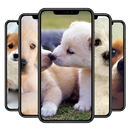 Cute Dogs & Puppies Wallpaper APK