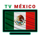 TV México - Canales en Vivo icône