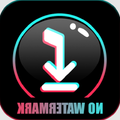 ”Snap Tik - TT Video Downloader
