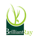 Brilliant Ray School - Dhari APK