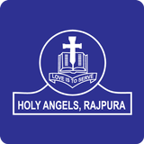 Holy Angels School,Rajpura icône