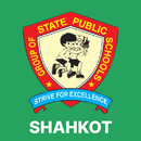 State Public School,Shahkot APK